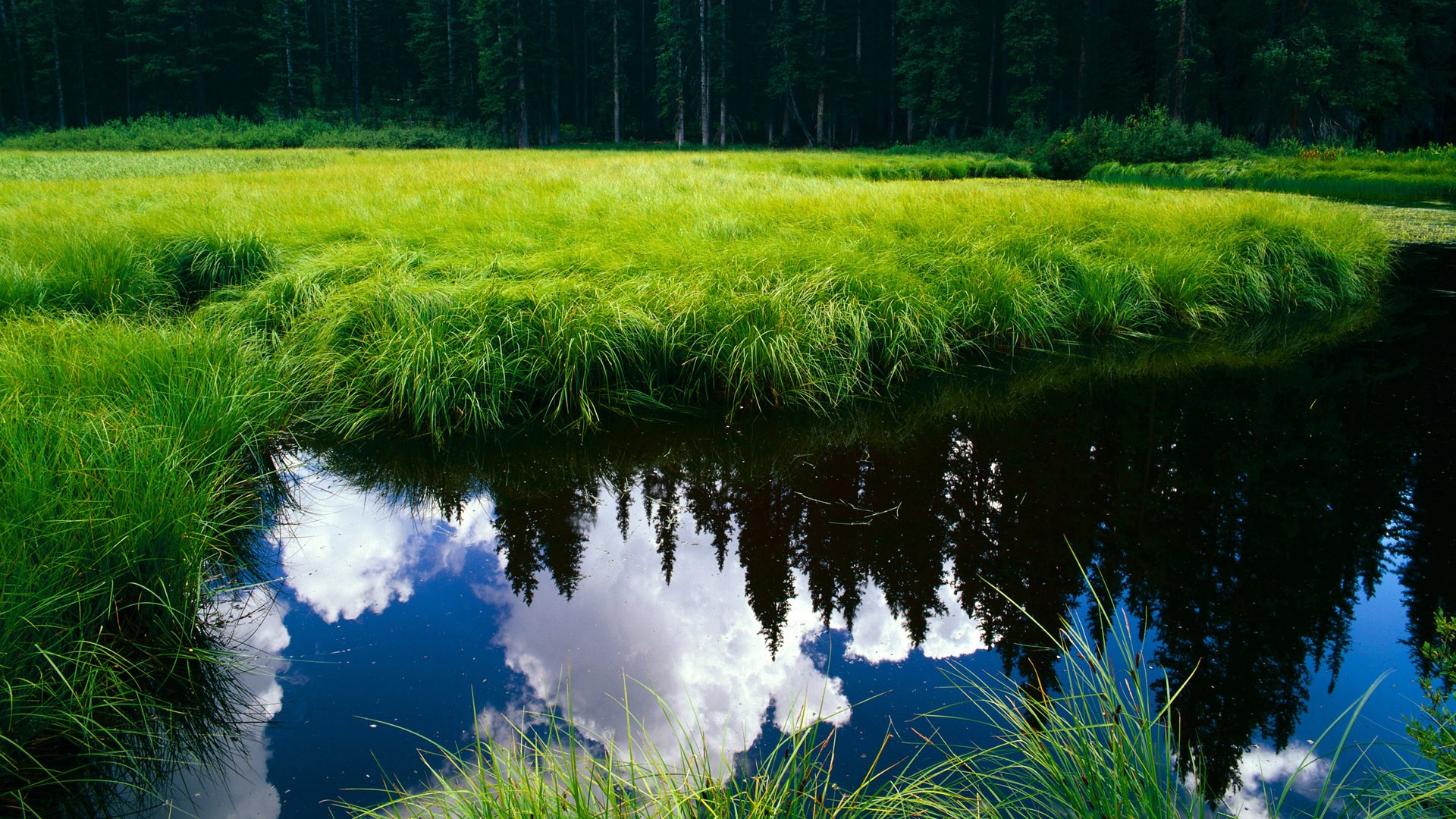 开云体育在线登入-全国青少年足球“带头人”项目强化行业核心人才的打造，全国青少年足球示范学校